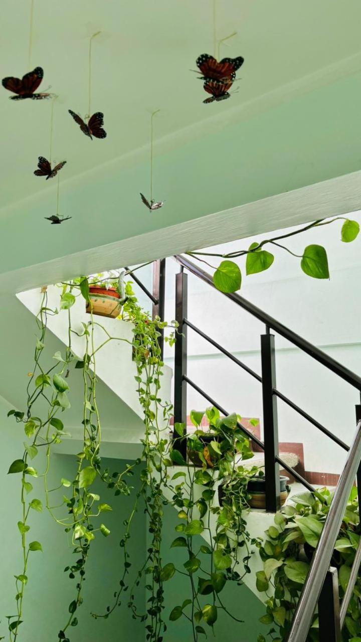 Casa Los Arcos Oaxaca Exteriör bild